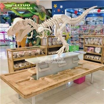 Stol i stolice za iskopavanje fosila dinosaura