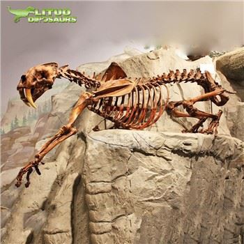 Kostur sabljastog tigra